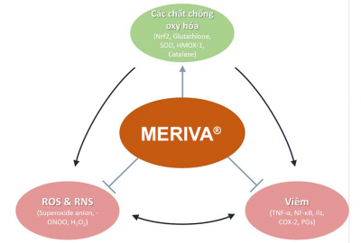 Meriva® với tác dụng chống viêm
